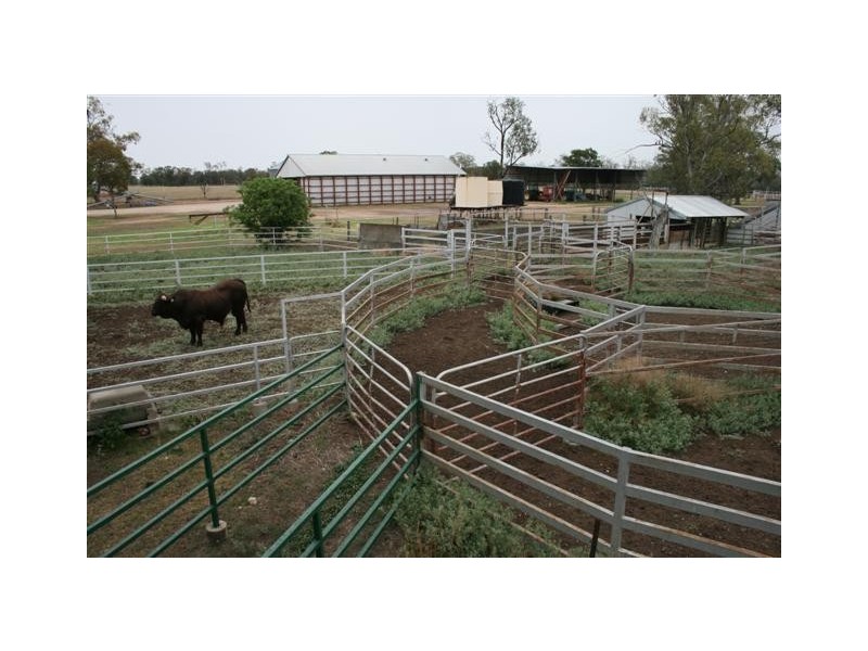 1 Bullock Head Road, Hannaford QLD 4406