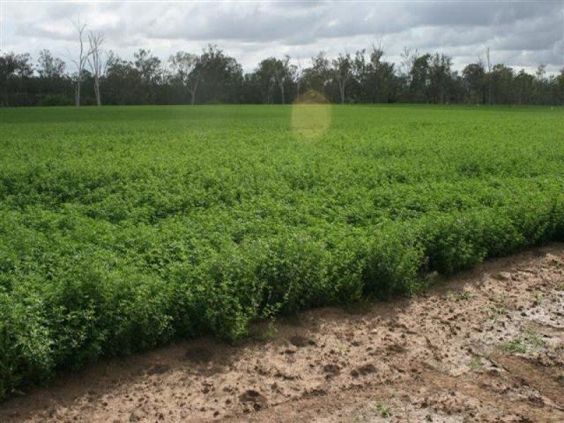 1 Halfpenny Drive, Mundubbera QLD 4626