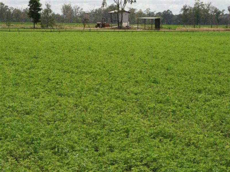 1 Halfpenny Drive, Mundubbera QLD 4626