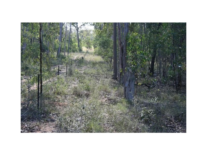 2288 Burra Burri Creek Road, Chinchilla QLD 4413