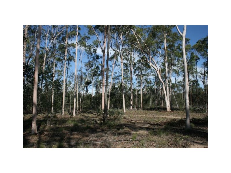 2288 Burra Burri Creek Road, Chinchilla QLD 4413