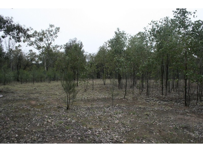 202 Emu Parade, Tara QLD 4421