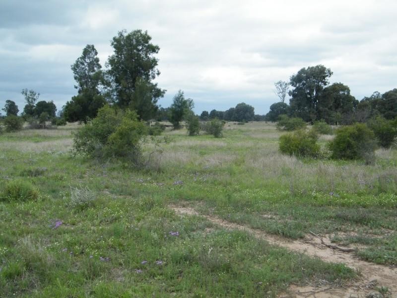 Lot 6 Pelican Back Road, Chinchilla QLD 4413