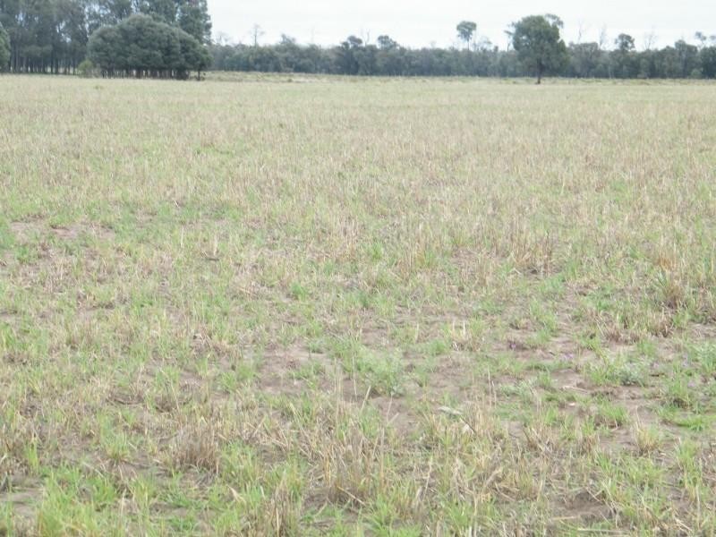 Lot 6 Pelican Back Road, Chinchilla QLD 4413