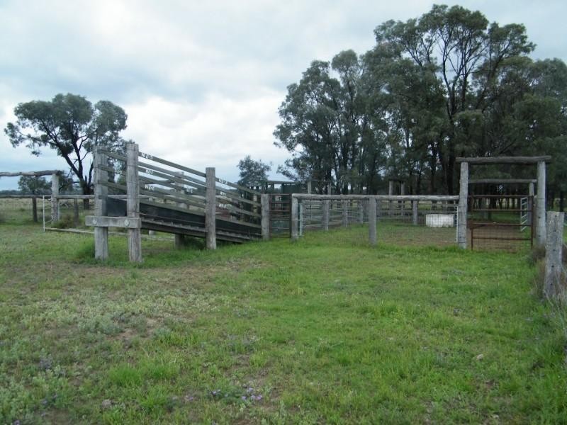 Lot 6 Pelican Back Road, Chinchilla QLD 4413
