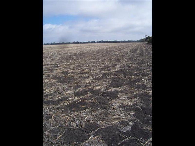 Lot 1 Tuckerang Road, Warra QLD 4411