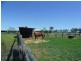. Greenswamp Road, Chinchilla QLD 4413