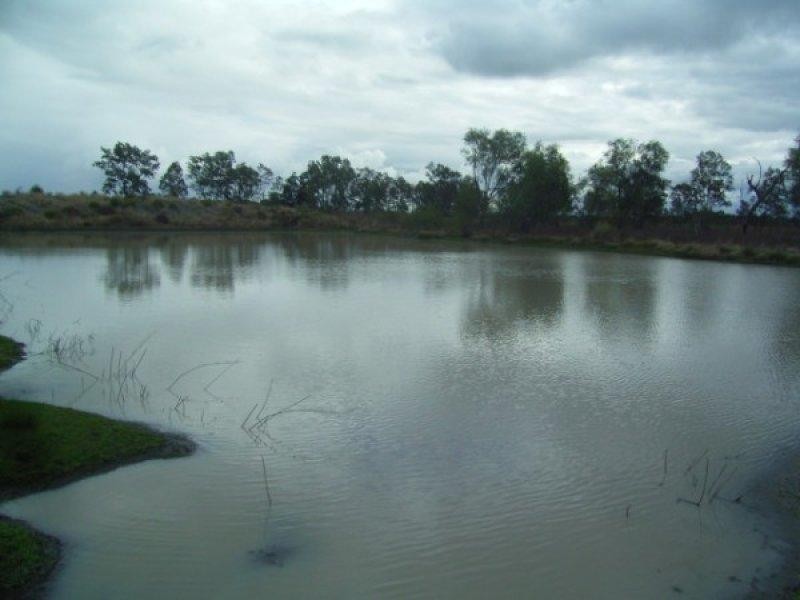 370 Banana Bridge Road, Brigalow QLD 4412