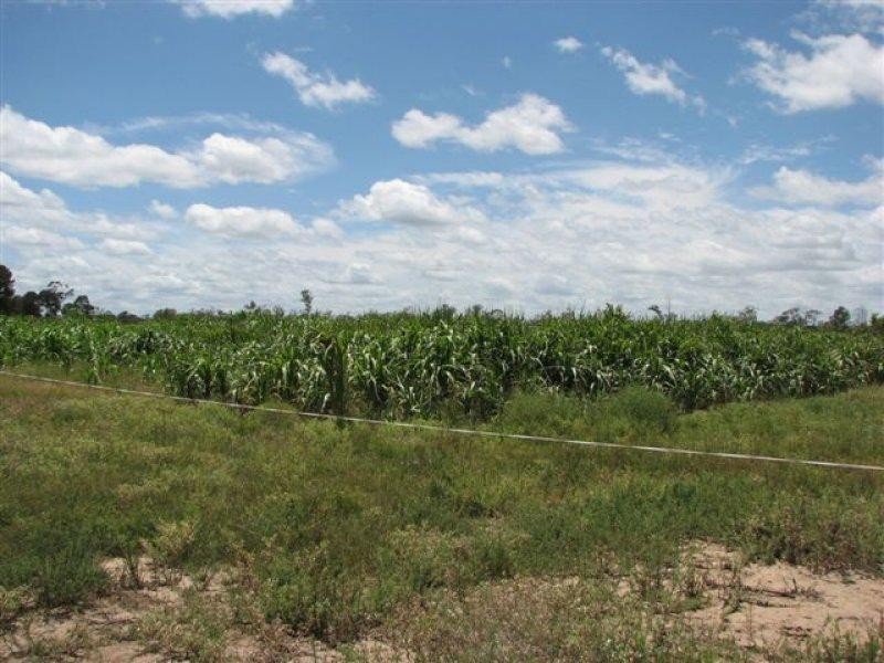 Lot 40 Pelican Back Road, Chinchilla QLD 4413