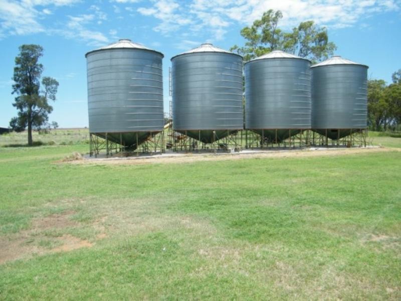 Kavine/Enclife Wondai Road, Canaga QLD 4413