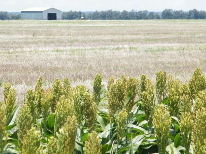 Kavine/Enclife Wondai Road, Canaga QLD 4413