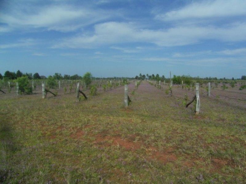 411 Old Rosevale Road, Jandowae QLD 4410