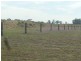 411 Old Rosevale Road, Jandowae QLD 4410