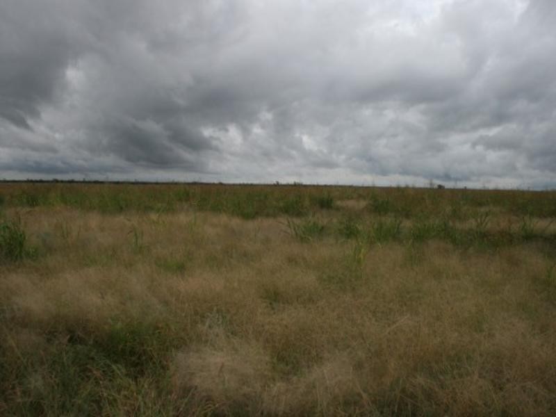 8033 Meandarra Talwood Road, Bungunya QLD 4494