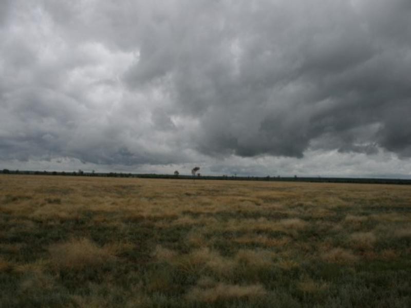 8033 Meandarra Talwood Road, Bungunya QLD 4494