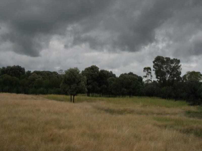 8033 Meandarra Talwood Road, Bungunya QLD 4494