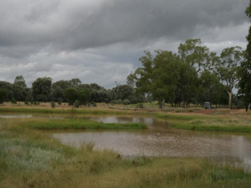 8033 Meandarra Talwood Road, Bungunya QLD 4494