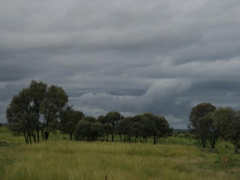 8033 Meandarra Talwood Road, Bungunya QLD 4494