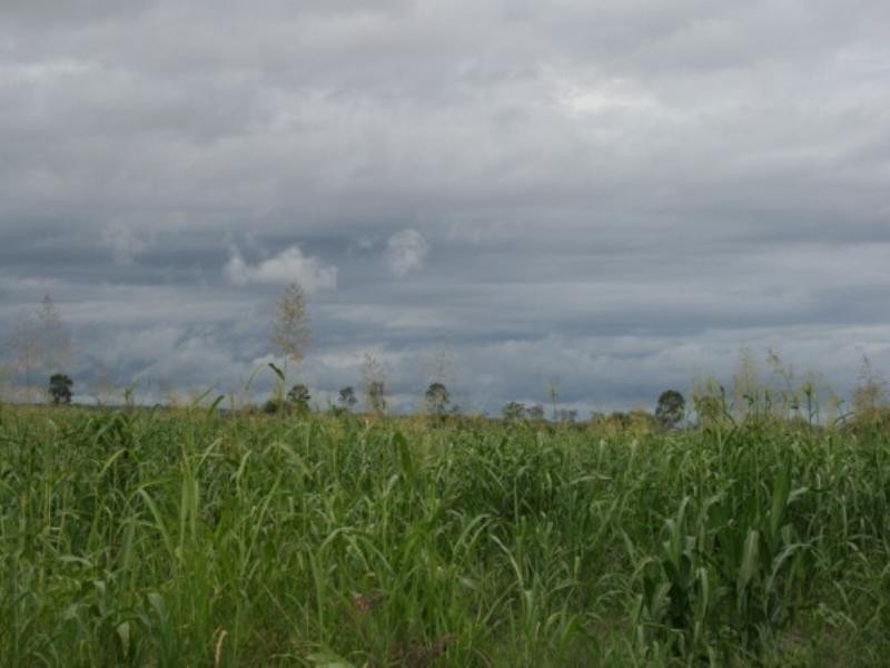 8033 Meandarra Talwood Road, Bungunya QLD 4494