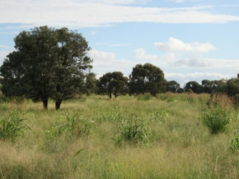 8033 Meandarra Talwood Road, Bungunya QLD 4494