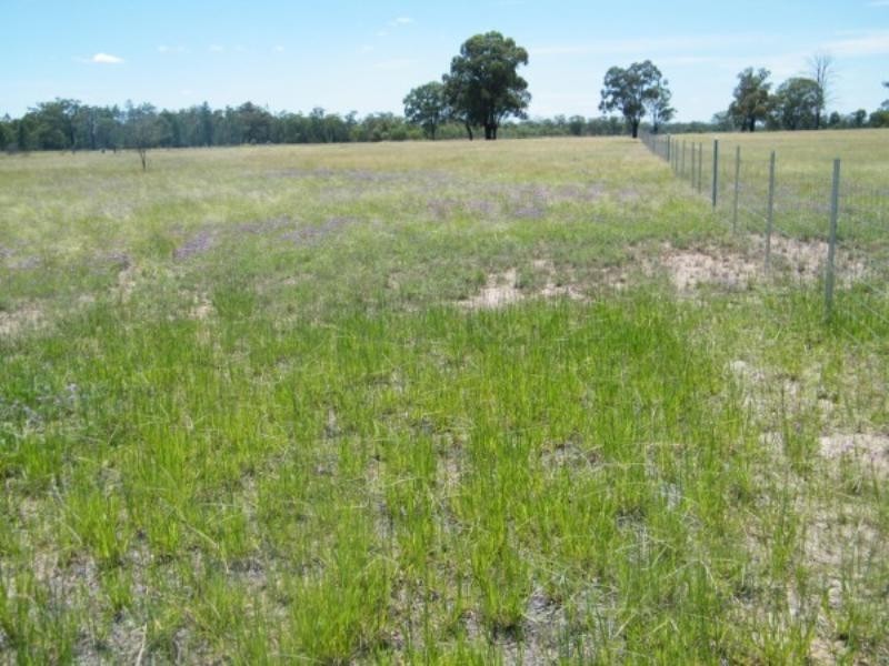 30 Old Cameby Road, Miles QLD 4415