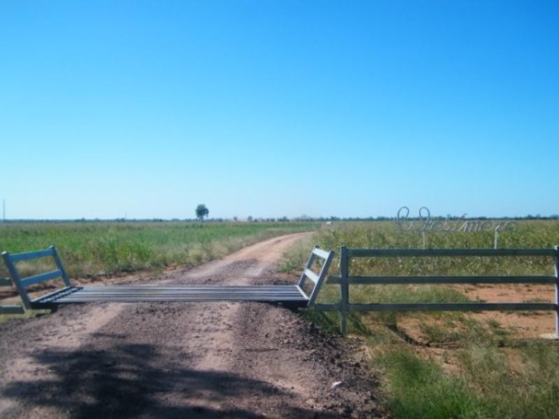 321 Glenearn Road, Glenmorgan QLD 4423