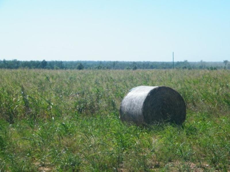 321 Glenearn Road, Glenmorgan QLD 4423