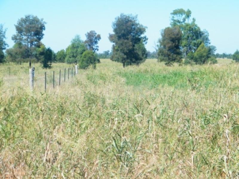 321 Glenearn Road, Glenmorgan QLD 4423