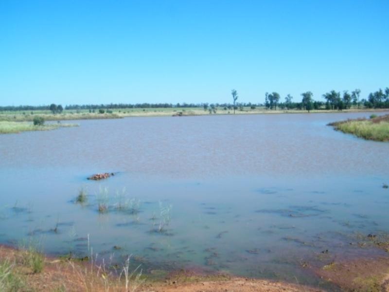 321 Glenearn Road, Glenmorgan QLD 4423