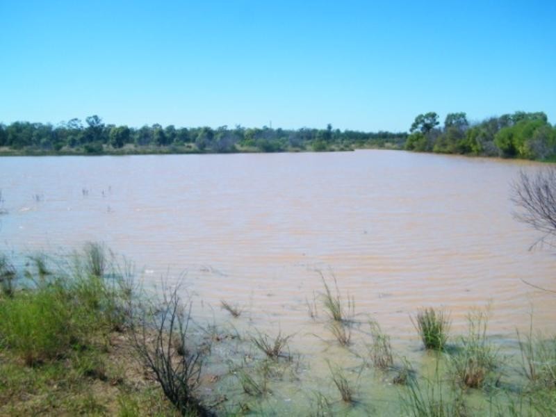 321 Glenearn Road, Glenmorgan QLD 4423