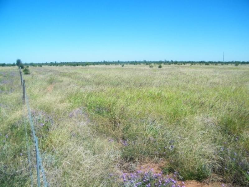 321 Glenearn Road, Glenmorgan QLD 4423