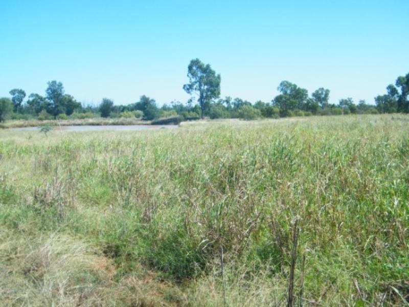 321 Glenearn Road, Glenmorgan QLD 4423