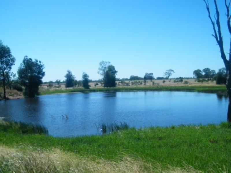 321 Glenearn Road, Glenmorgan QLD 4423