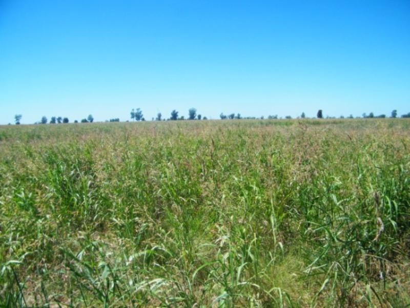 321 Glenearn Road, Glenmorgan QLD 4423