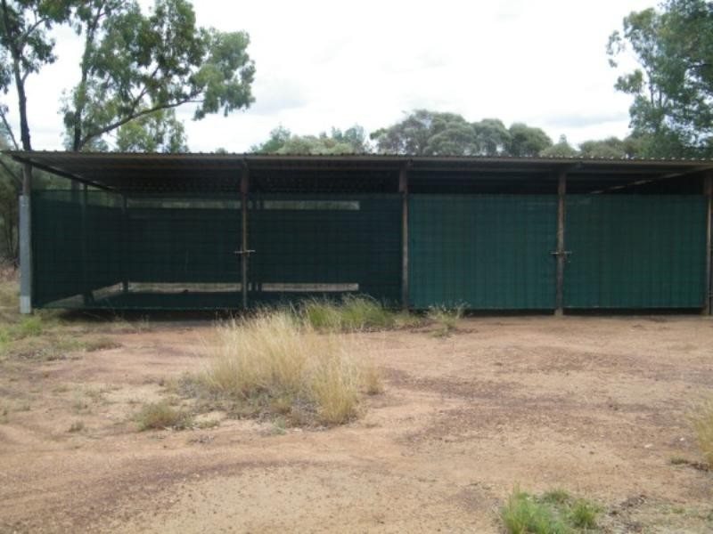 83 Old Cameby Road, Miles QLD 4415