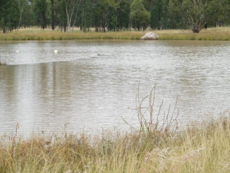 83 Old Cameby Road, Miles QLD 4415