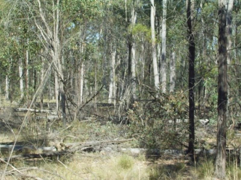 Lot 27 Burra Burri Creek Road, Chinchilla QLD 4413