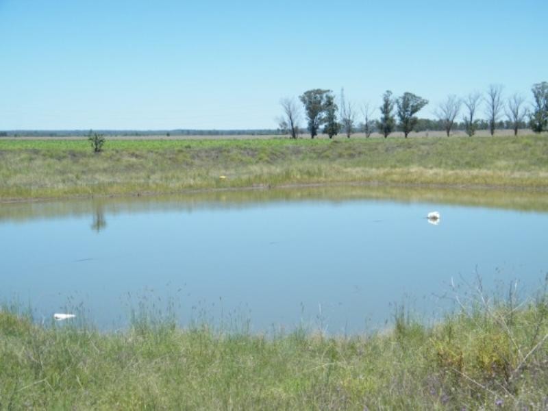 - Warrego Highway, Dalby QLD 4405