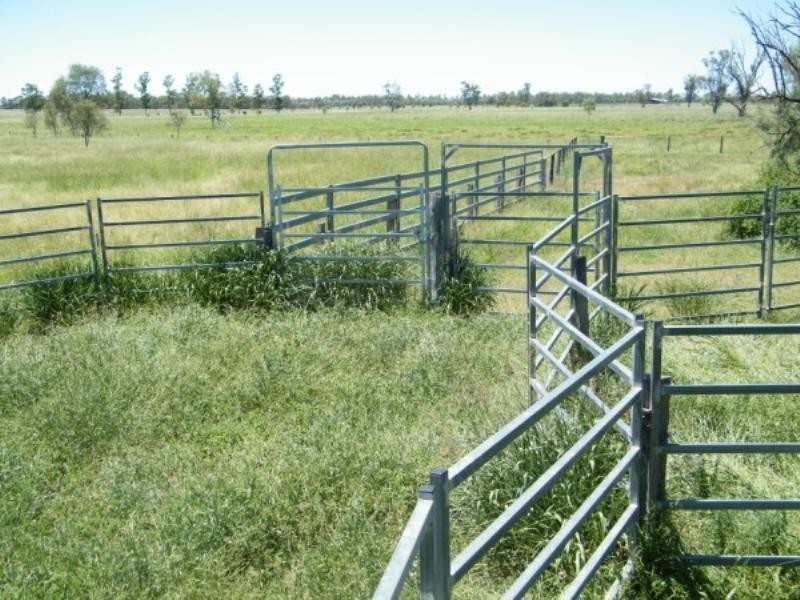 - Warrego Highway, Dalby QLD 4405