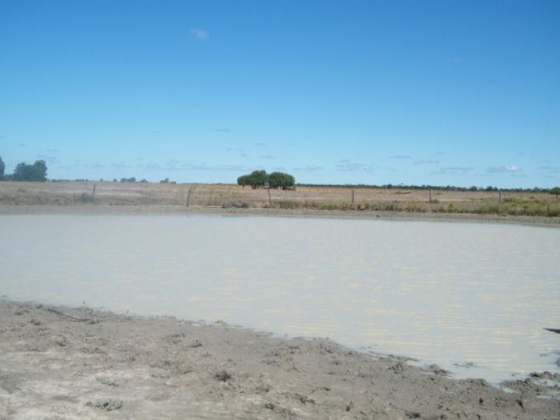 Lot 81 Quires Road, Chinchilla QLD 4413