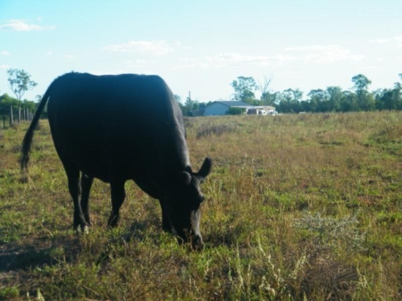 248 Dawson Gates Road, Chinchilla QLD 4413