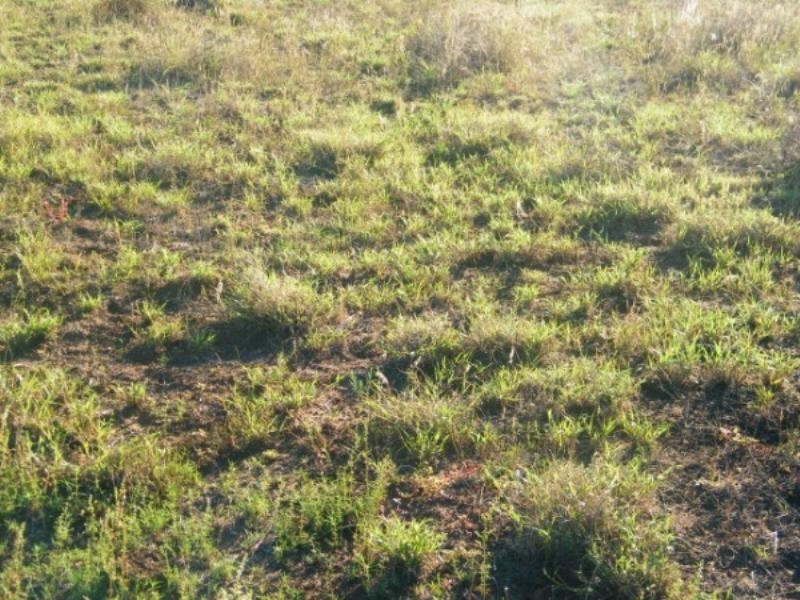 248 Dawson Gates Road, Chinchilla QLD 4413