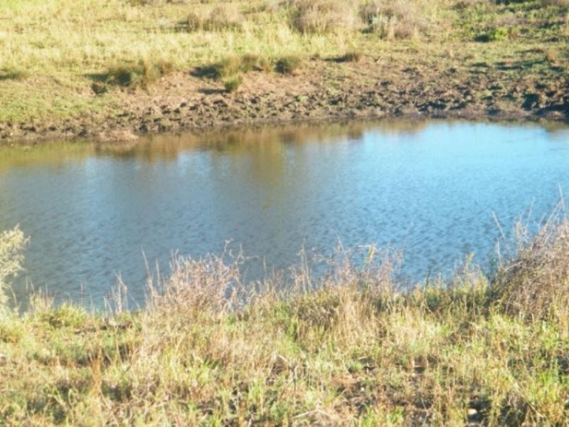 248 Dawson Gates Road, Chinchilla QLD 4413