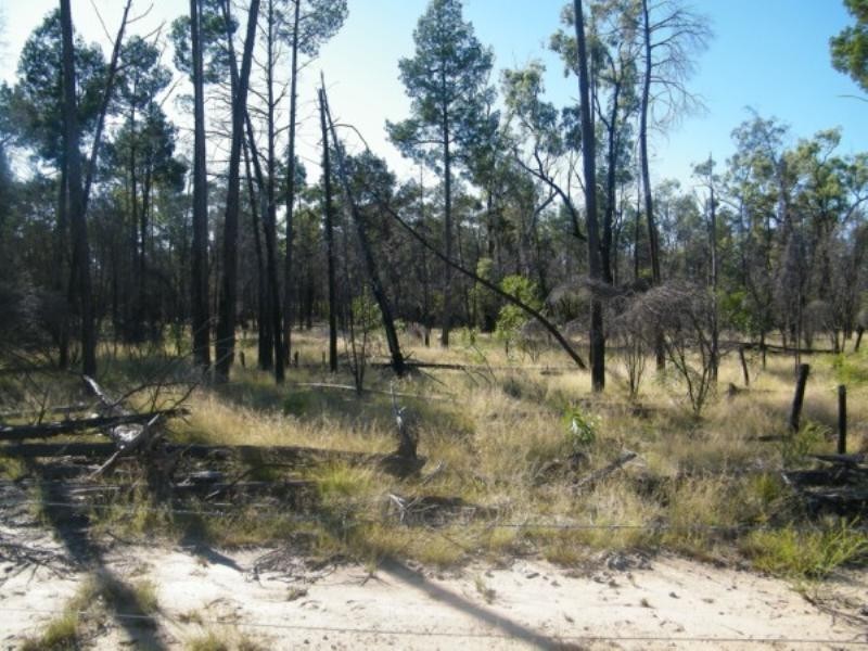 292 Braithwaites Road, Chinchilla QLD 4413