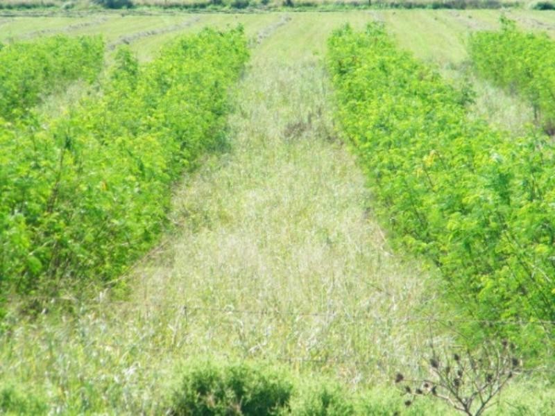 30788 Gayndah/Monto Road, Monto QLD 4630