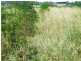 30788 Gayndah/Monto Road, Monto QLD 4630