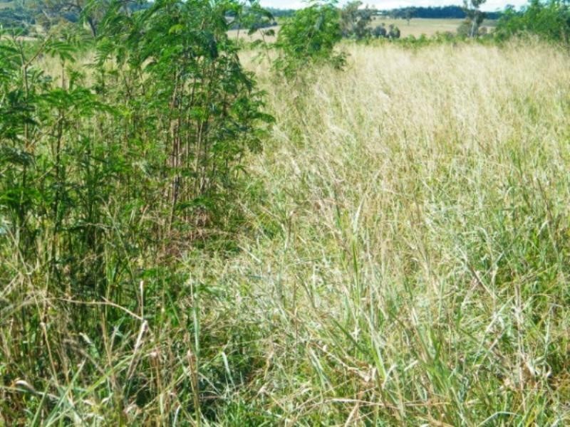 30788 Gayndah/Monto Road, Monto QLD 4630