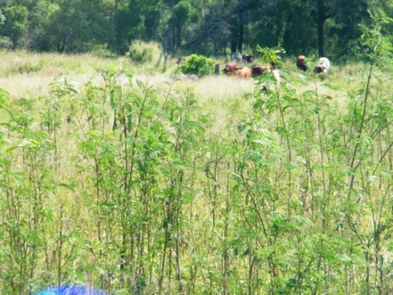 30788 Gayndah/Monto Road, Monto QLD 4630