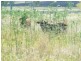 30788 Gayndah/Monto Road, Monto QLD 4630