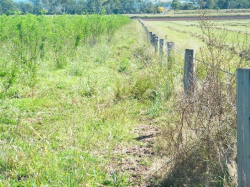 30788 Gayndah/Monto Road, Monto QLD 4630